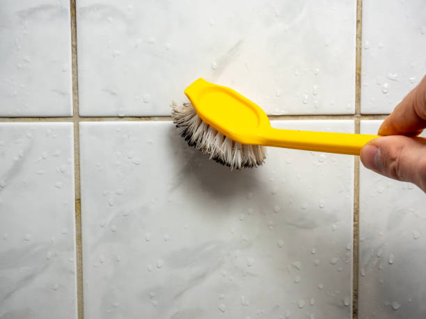 Best Office Mold Removal Services  in Smithville, TN