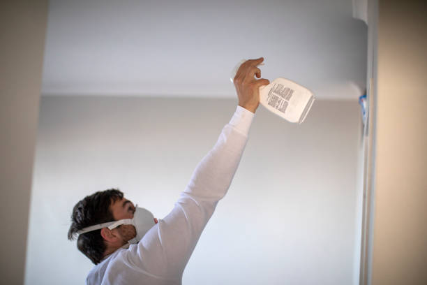 Best Mold Testing  in Smithville, TN